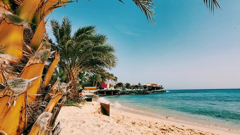 Nomads: 50+ Countries Offering Remote Work Visas (2026)